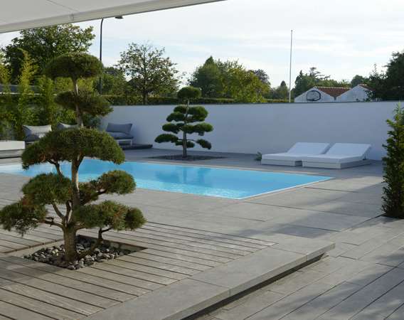 Skulpturelle traeer på terrasse med swimmingpool